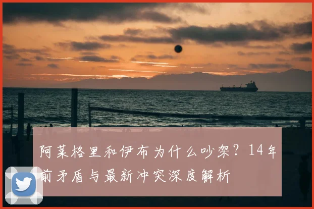 阿莱格里和伊布为什么吵架?14年前矛盾与最新冲突深度解析